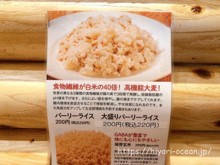 迷ったらココ!ヨドバシAkibaにある「ステーキロッヂ秋葉原店」でこだわりのステーキをガッツリ堪能